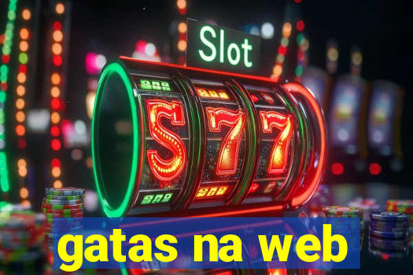 gatas na web